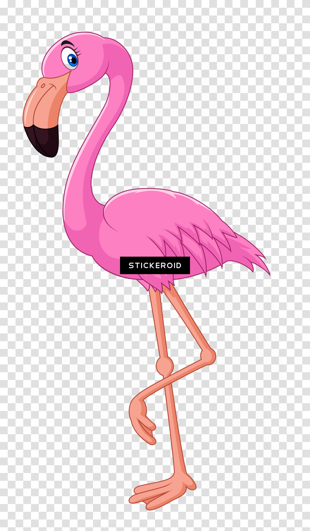 Flamingo Cartoon Background Flamingo Clipart, Label, Purple, Hip Transparent Png