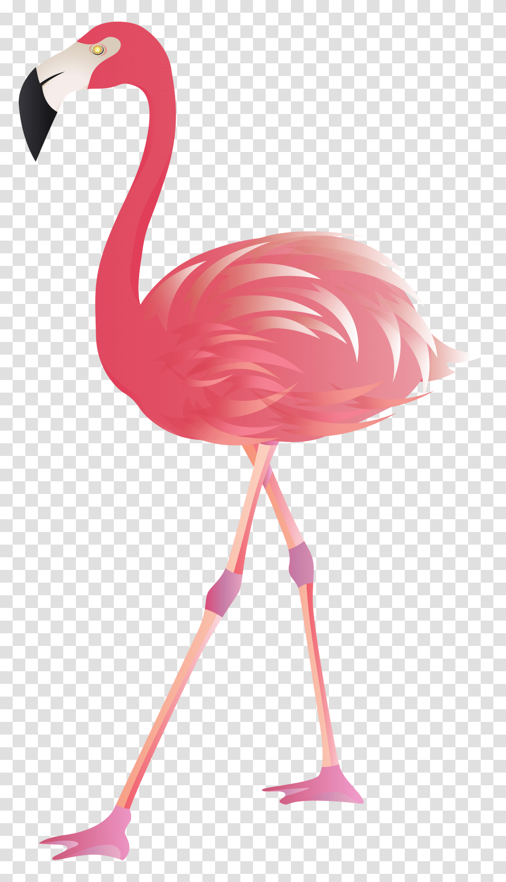 Flamingo Clip Art, Bird, Animal, Lollipop Transparent Png