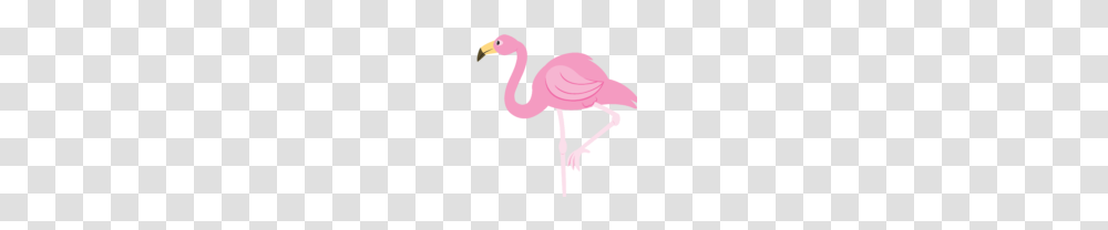 Flamingo Clip Art, Bird, Animal Transparent Png