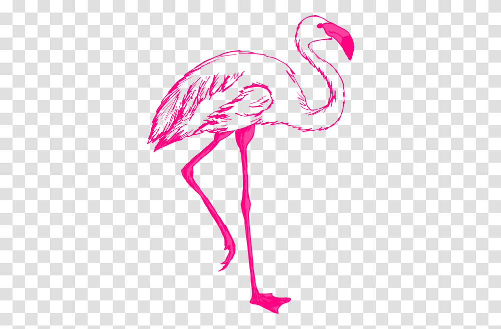 Flamingo Clip Art Free Free Clipart Images Clipartix Image, Bird, Animal Transparent Png