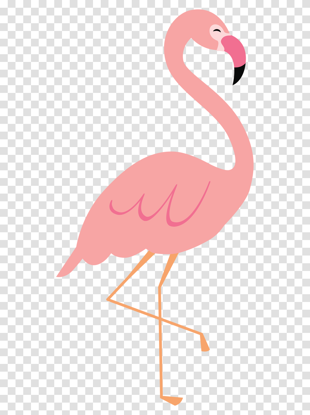 Flamingo Clip File Clip Art Flamingo, Bird, Animal Transparent Png