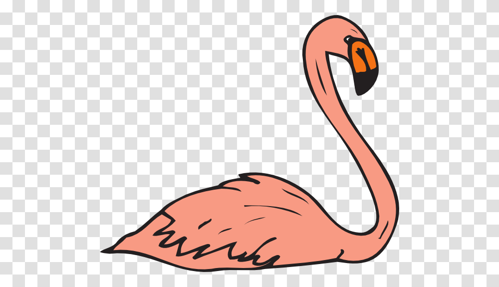 Flamingo Clipart, Animal, Bird, Beak Transparent Png