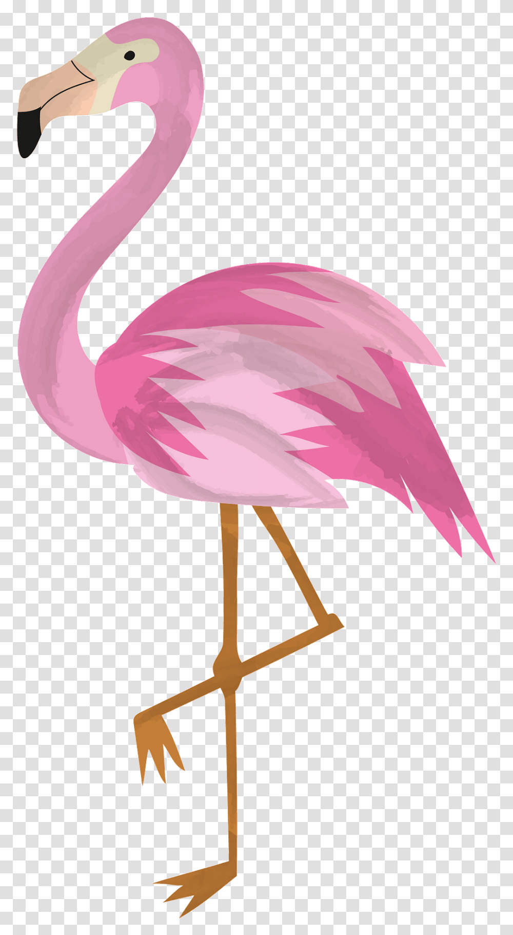 Flamingo Clipart, Animal, Bird, Lamp Transparent Png