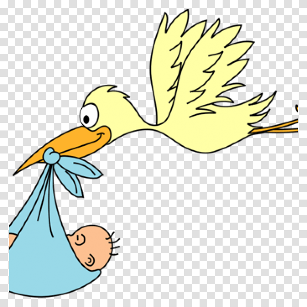Flamingo Clipart Baby Newborn Baby Cartoon, Bird, Animal, Leisure Activities Transparent Png