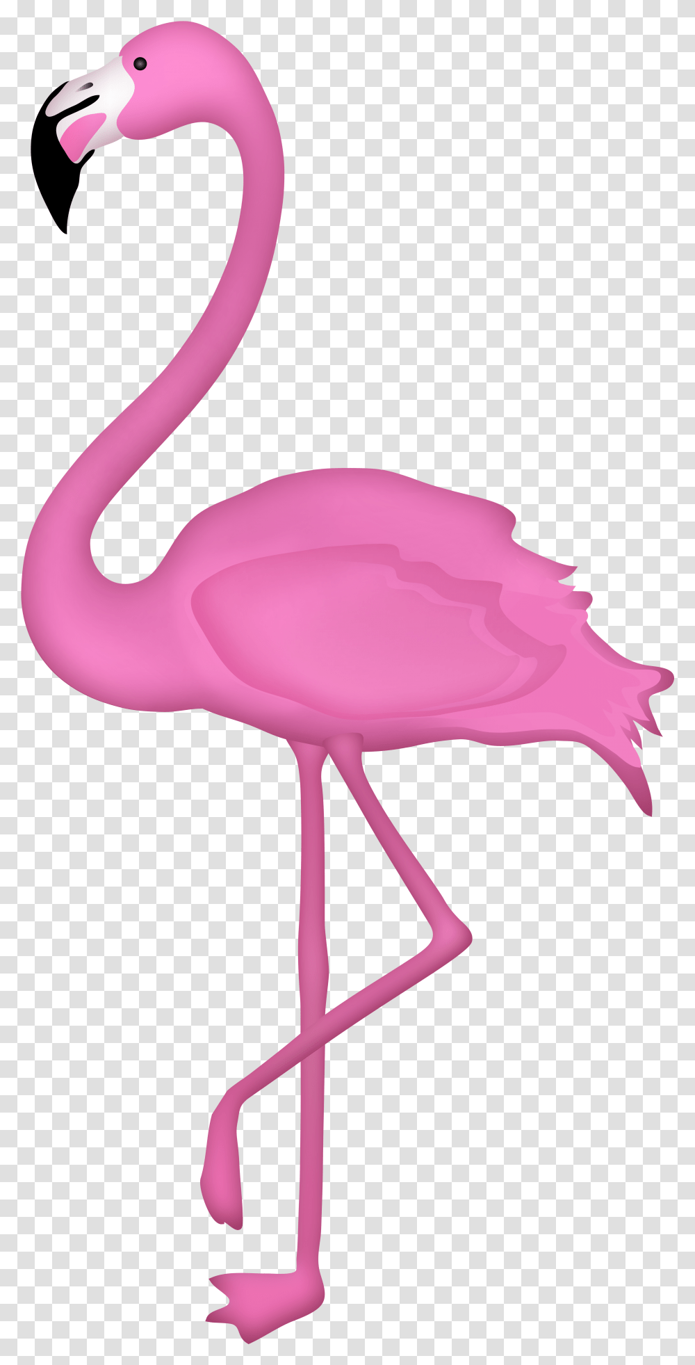 Flamingo Clipart Background, Bird, Animal, Beak Transparent Png