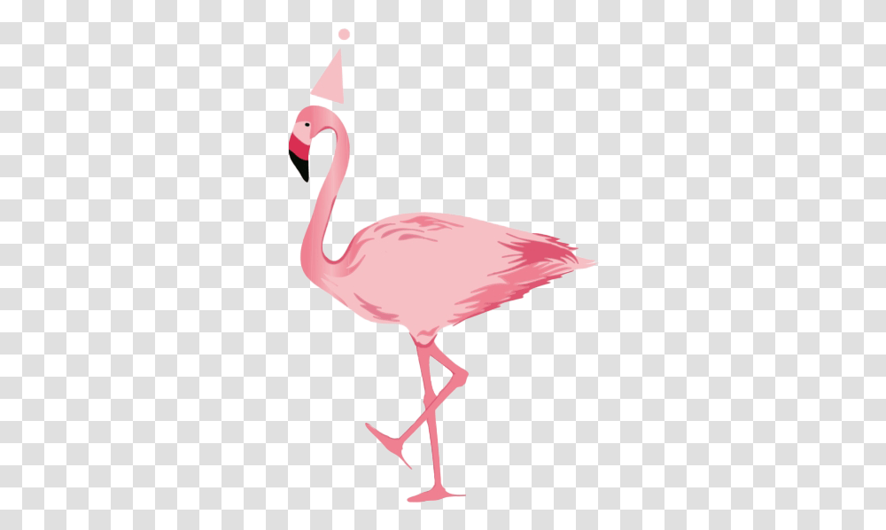 Flamingo Clipart Background, Bird, Animal Transparent Png