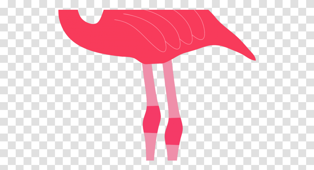 Flamingo Clipart Background Clip Art, Animal, Bird, Blow Dryer, Appliance Transparent Png