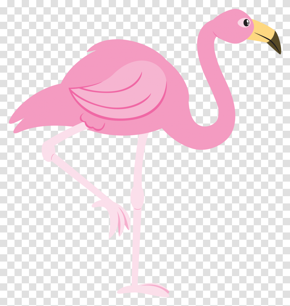 Flamingo Clipart, Bird, Animal, Beak Transparent Png