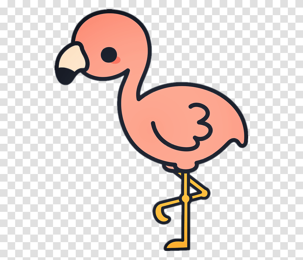 Flamingo Clipart, Bird, Animal, Dodo, Beak Transparent Png