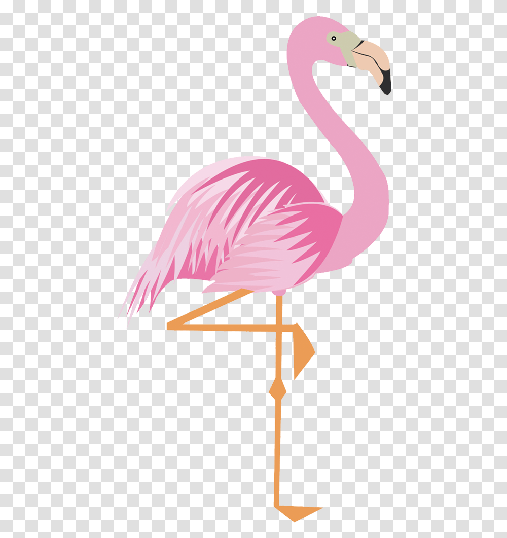 Flamingo Clipart, Bird, Animal, Lamp Transparent Png