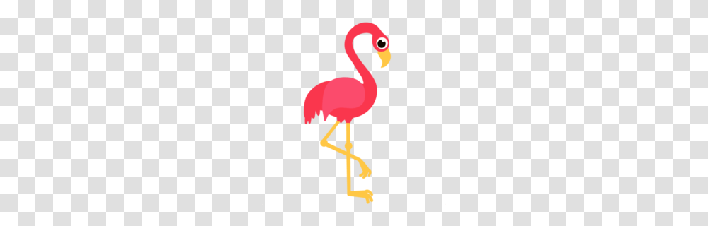 Flamingo Clipart, Bird, Animal, Poster, Advertisement Transparent Png