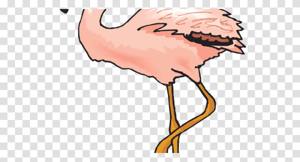 Flamingo Clipart Clip Art, Bird, Animal, Hand Transparent Png