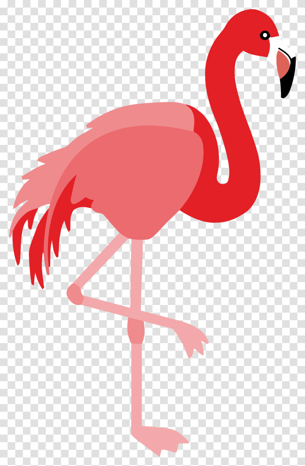 Flamingo Clipart Clipart Flamingo Clipart, Animal, Bird Transparent Png