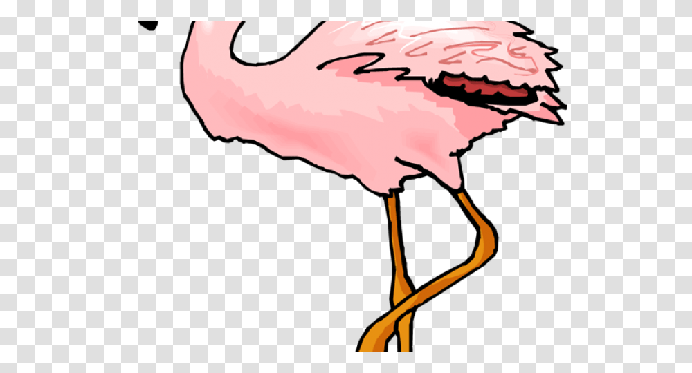 Flamingo Clipart Coral, Hand, Animal, Person, Human Transparent Png