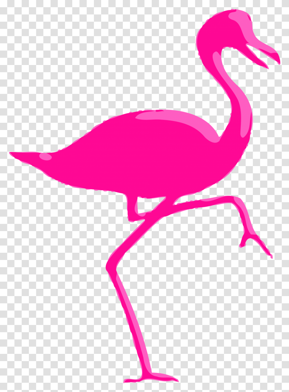 Flamingo Clipart Cottage - Clipartlycom Clip Art, Animal, Bird Transparent Png