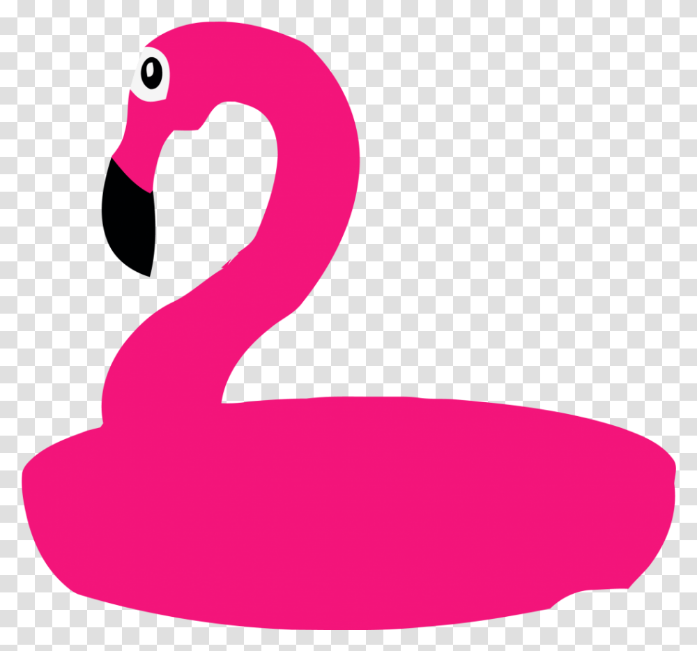 Flamingo Clipart Ducks Geese And Swans Water Water Bird, Animal Transparent Png