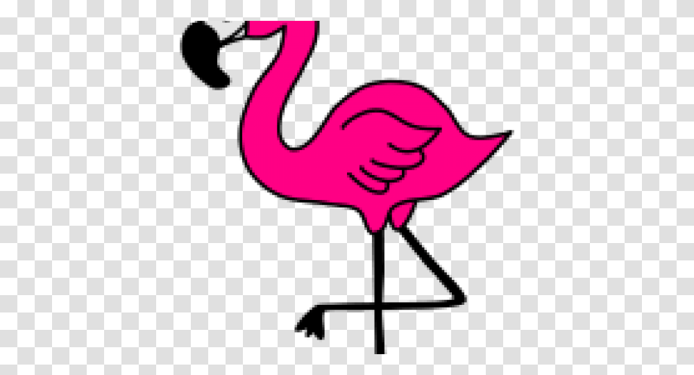 Flamingo Clipart Face, Animal, Bird Transparent Png