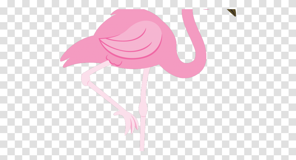Flamingo Clipart Free Clip Art Stock Illustrations Clip Art, Hat, Apparel, Bird Transparent Png