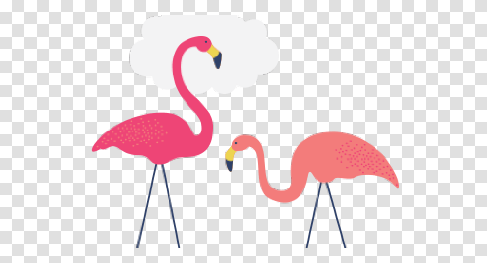 Flamingo Clipart Kawaii Flamingo, Animal, Bird Transparent Png