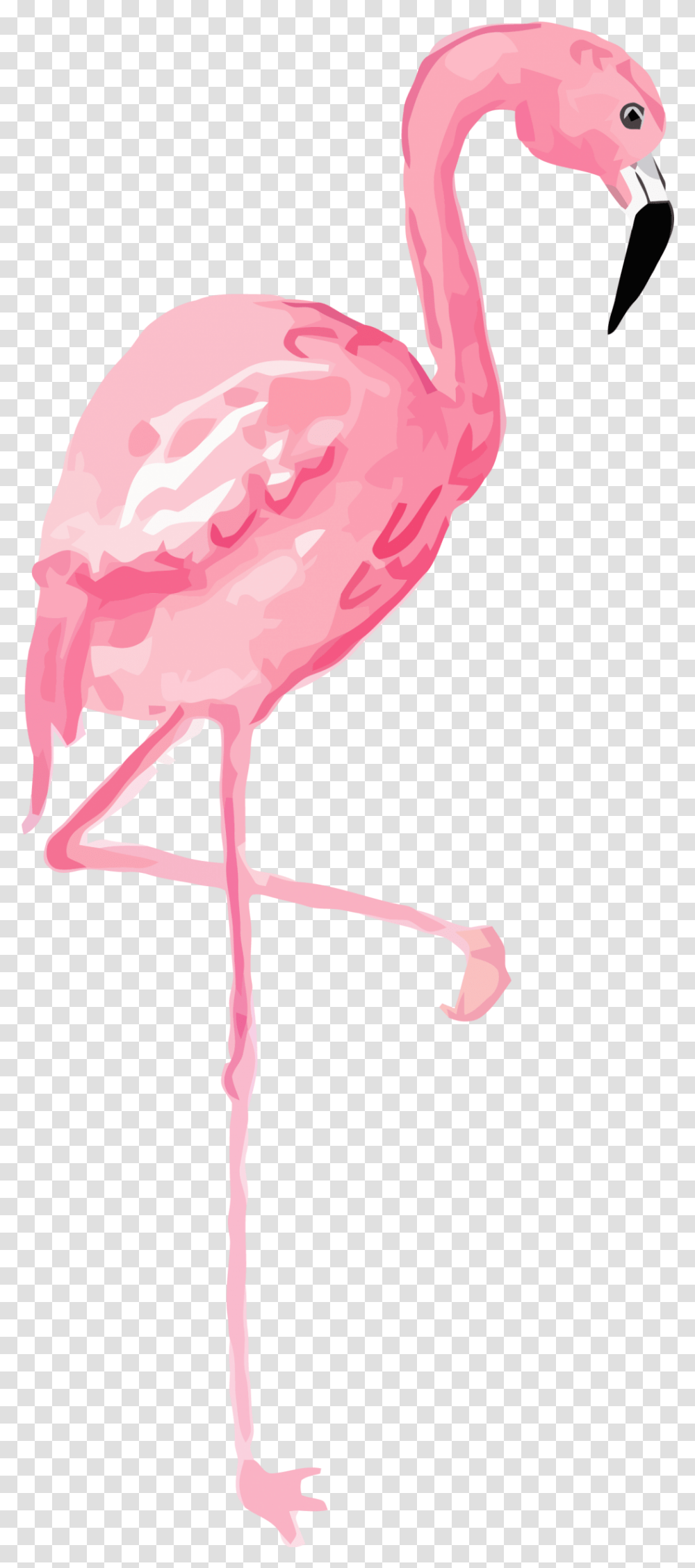 Flamingo Clipart Long, Bird, Animal Transparent Png