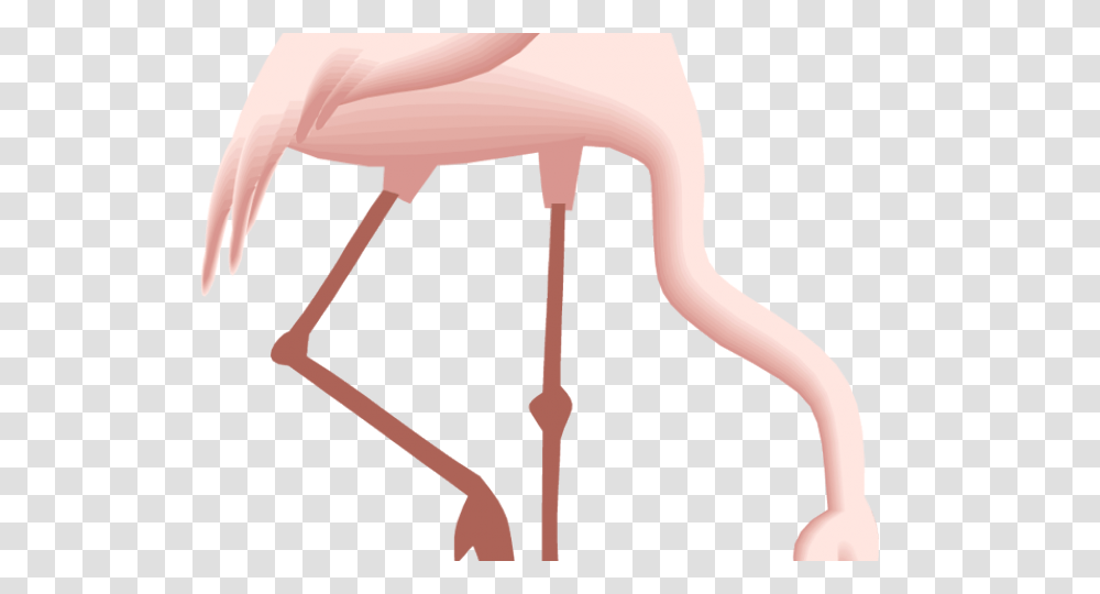 Flamingo Clipart Pretty In Pink, Bird, Animal Transparent Png