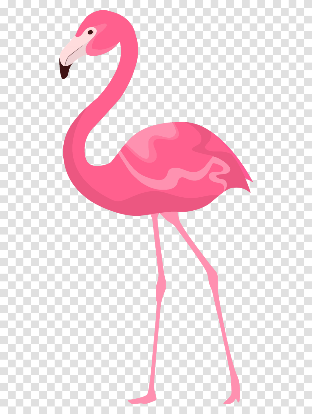 Flamingo Clipart Quotes Flamencos Rosados En Una Pata, Bird, Animal Transparent Png