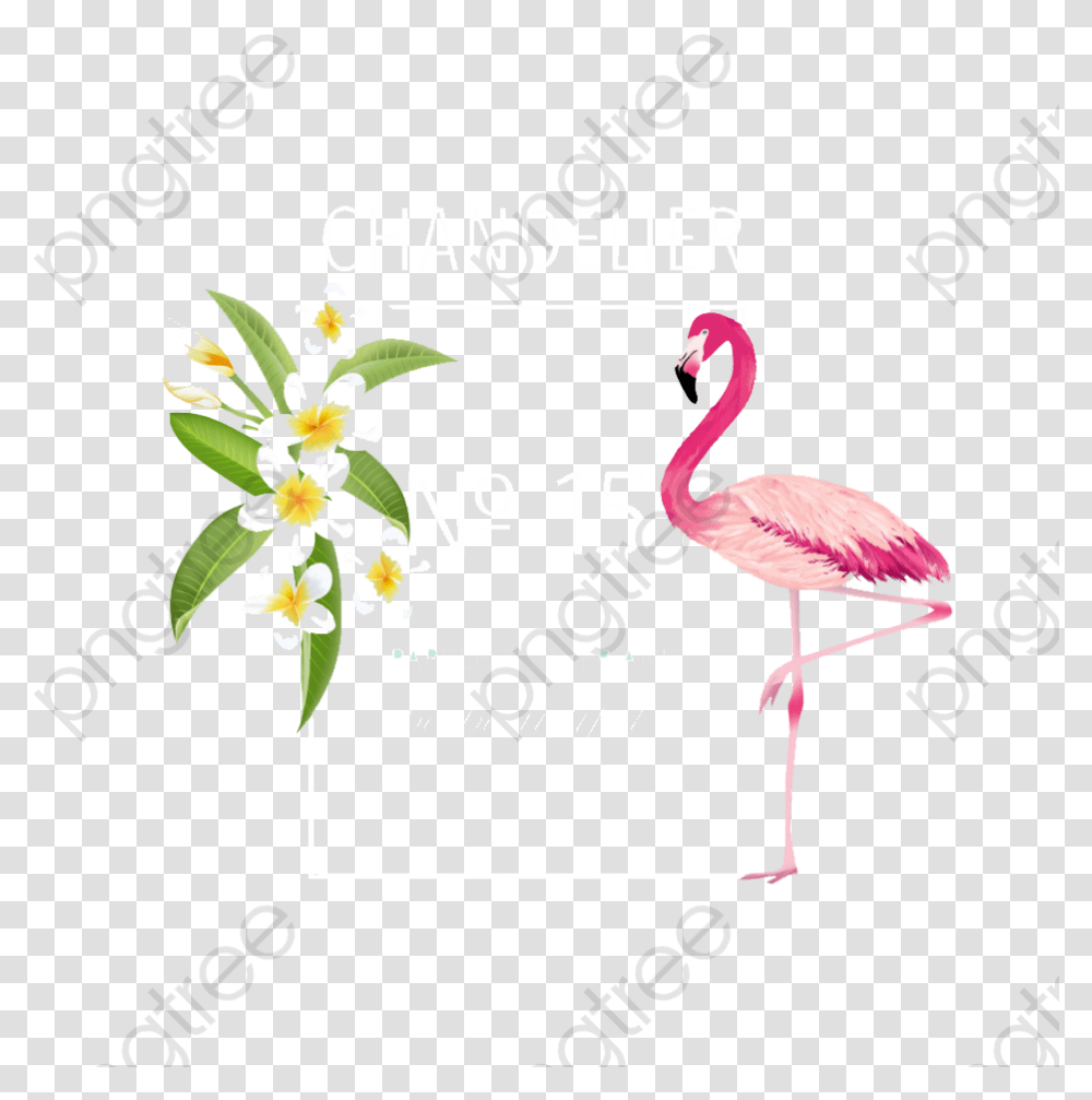 Flamingo Clipart Vintage Background Flamingo, Bird, Animal Transparent Png