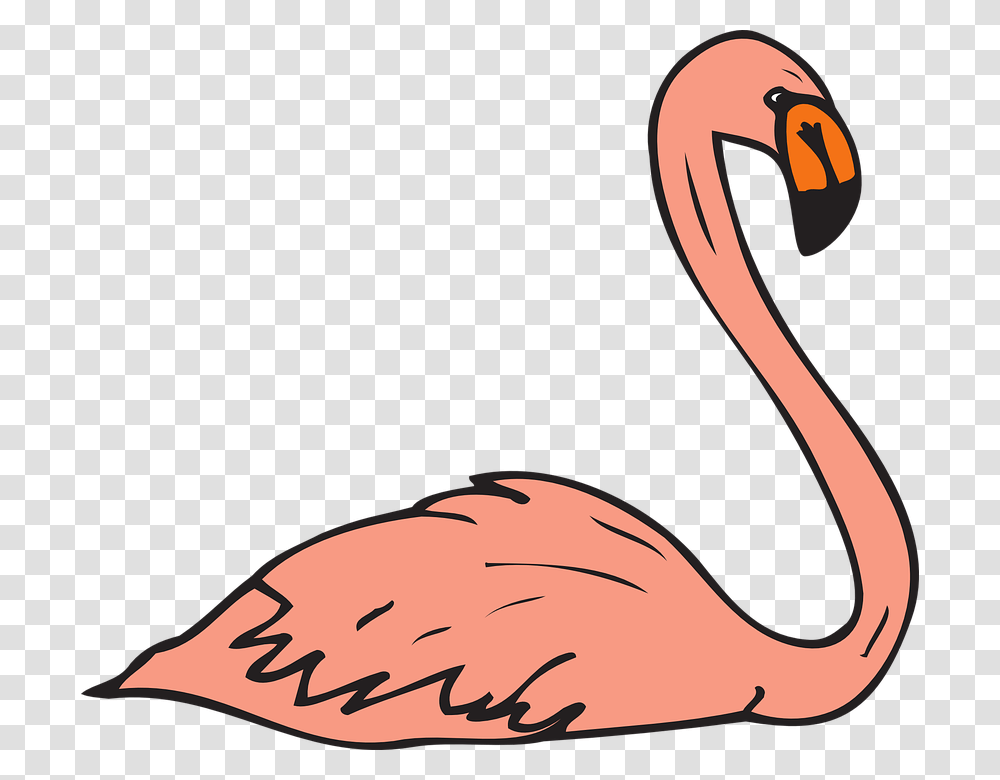 Flamingo Clipart Wings, Bird, Animal Transparent Png