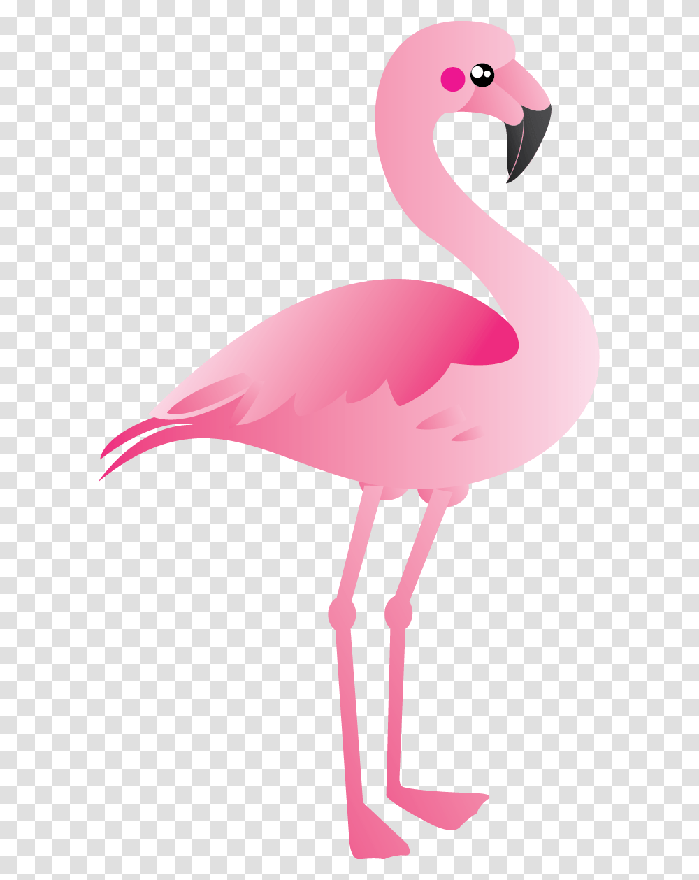 Flamingo Clipart Zoo, Bird, Animal Transparent Png