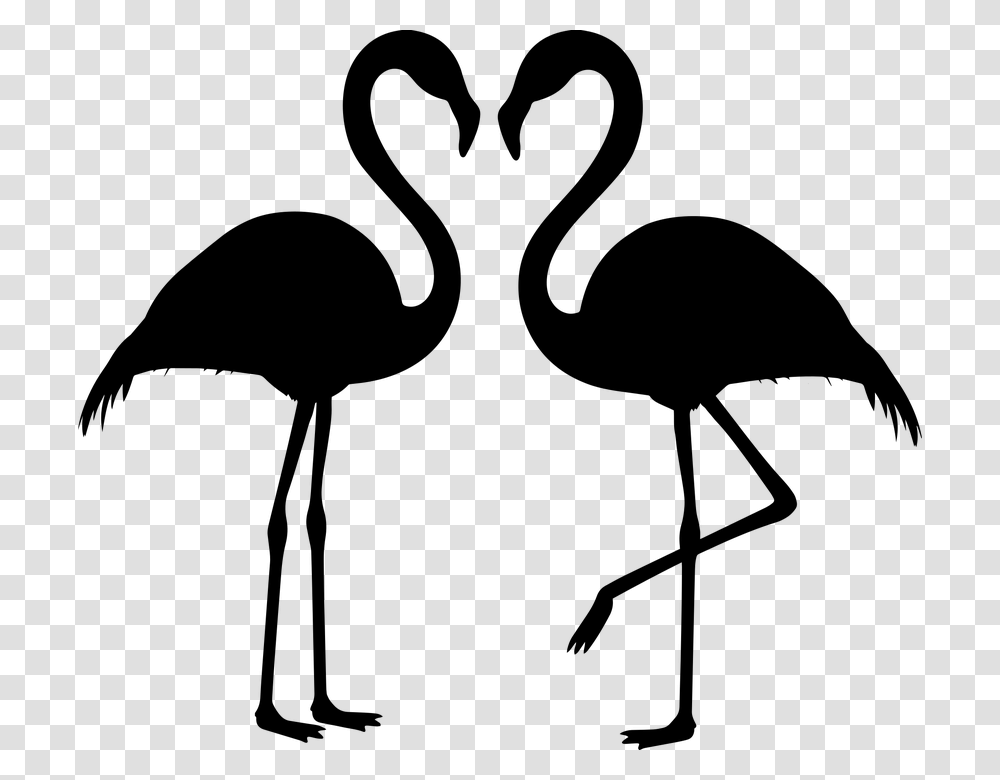 Flamingo Couple Silhouette Flamingos Love Bird Svg Free Flamingo Svg, Gray, World Of Warcraft Transparent Png