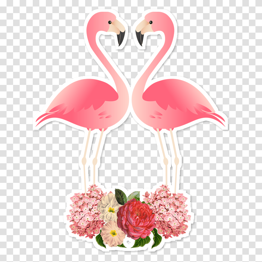 Flamingo Cut, Bird, Animal, Flower, Plant Transparent Png