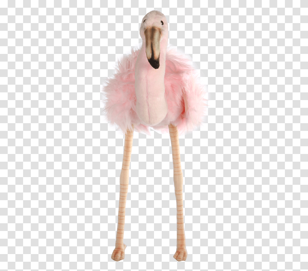 Flamingo, Dance, Person, Ballet Transparent Png