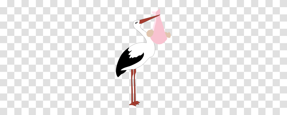Flamingo Download Image Formats Autocad Dxf, Bird, Animal, Pelican, Stork Transparent Png