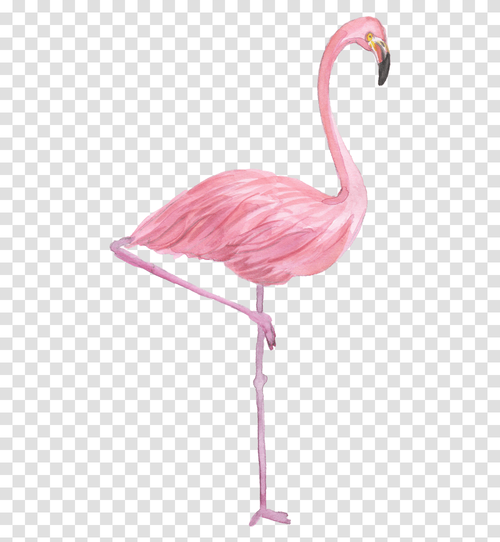 Flamingo Drawing Watercolor Painting Watercolor Flamingo, Bird Transparent Png