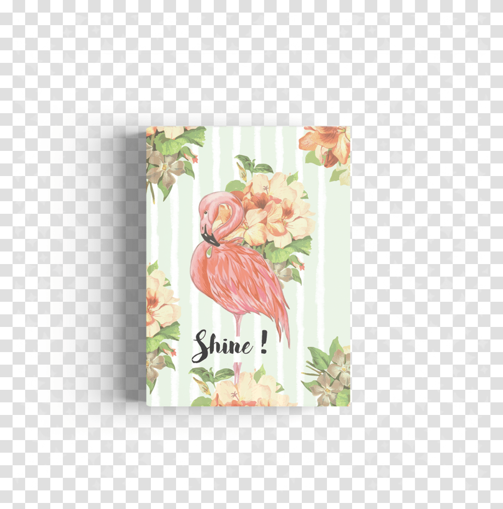 Flamingo, Envelope, Mail, Greeting Card Transparent Png