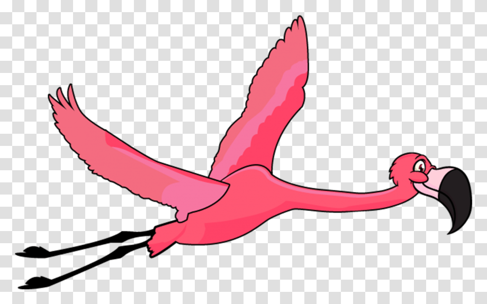 Flamingo Filter Greater Flamingo, Animal, Flying, Bird, Gecko Transparent Png