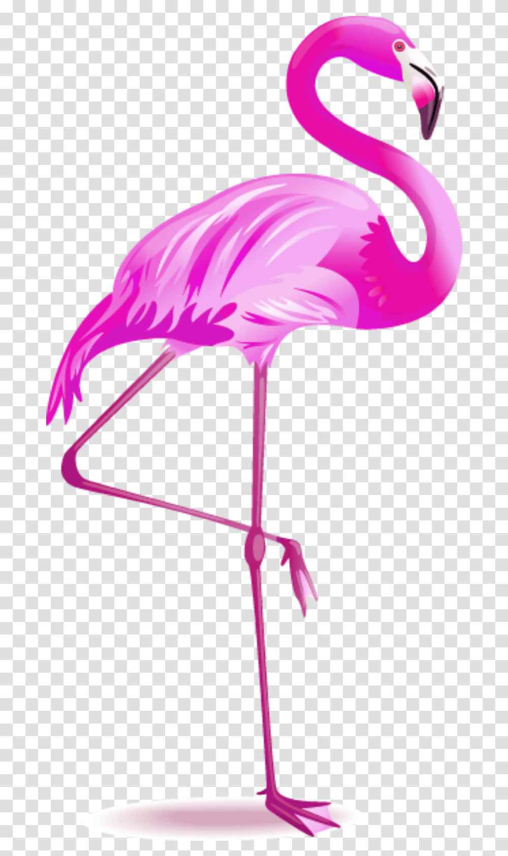 Flamingo Flamingo, Lamp, Bird Transparent Png
