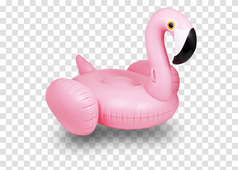 Flamingo Floats Image Flamingo Float, Toy, Animal, Bird, Inflatable Transparent Png