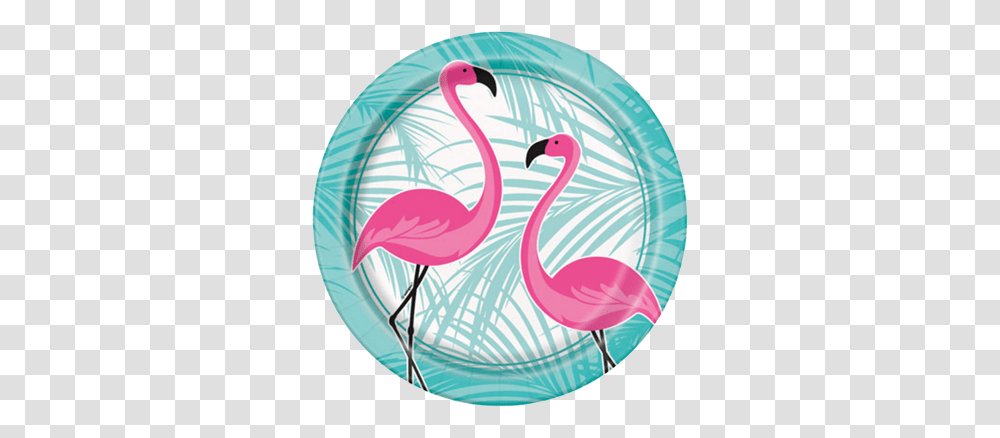 Flamingo Fun Party Plates Flamingo Party Plate, Bird, Animal Transparent Png