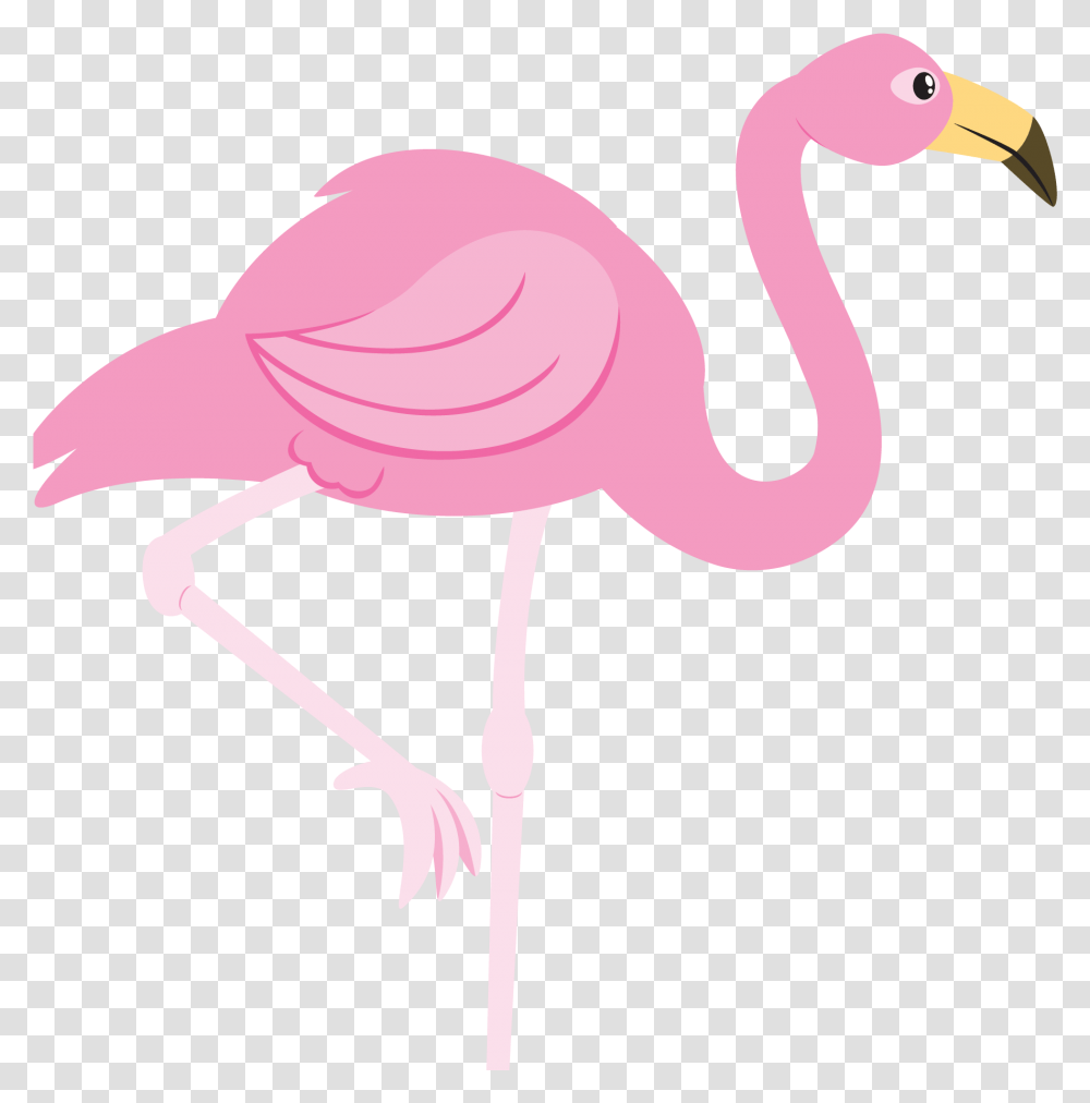 Flamingo Hd Background Flamingo, Animal, Bird, Beak Transparent Png