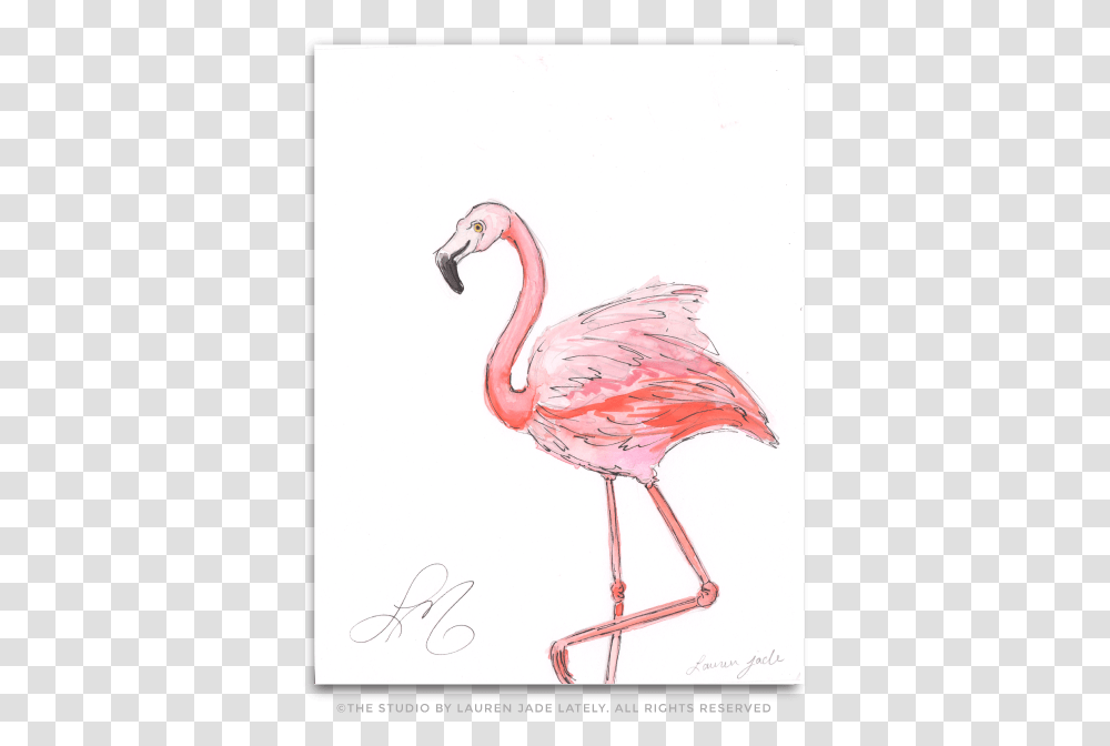 Flamingo Heart, Bird, Animal, Beak Transparent Png