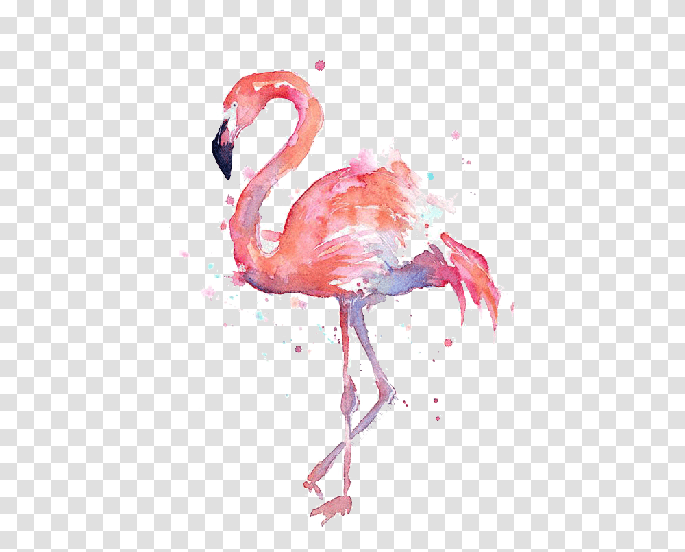 Flamingo High Resolution Watercolor Flamingo, Bird Transparent Png