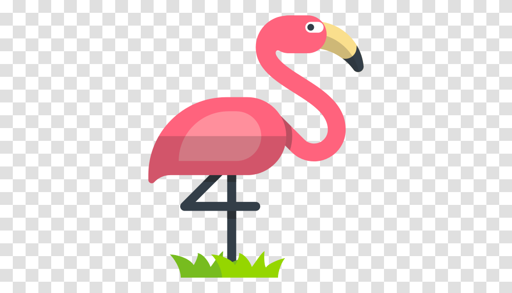 Flamingo Icon, Bird, Animal Transparent Png