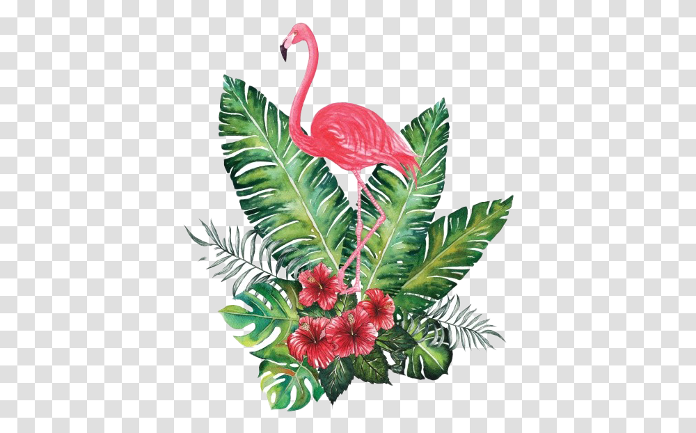 Flamingo Image Tropical Flowers, Plant, Leaf, Blossom, Pineapple Transparent Png