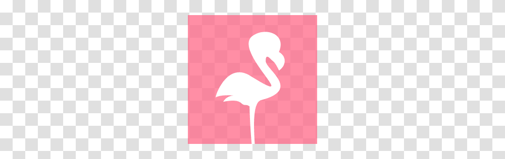Flamingo Inc Crunchbase, Bird, Animal, Crane Bird, Ketchup Transparent Png