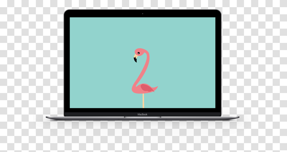 Flamingo Laptop Led Backlit Lcd Display, Monitor, Screen, Electronics, Bird Transparent Png