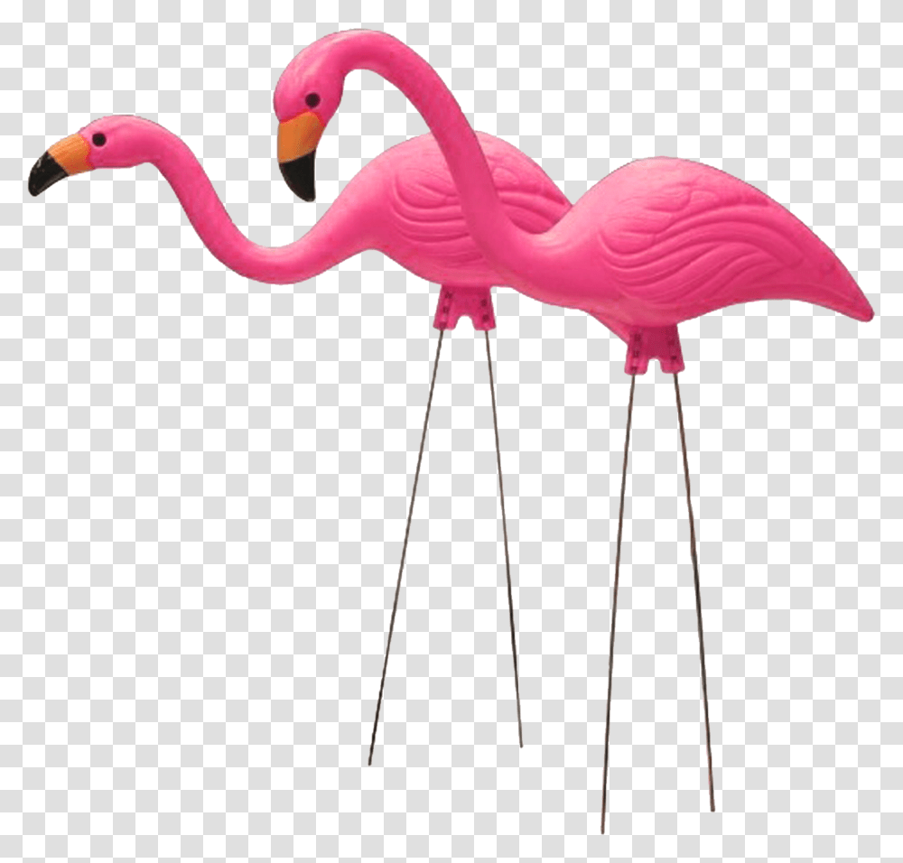 Flamingo Moved Permanently Background Plastic Flamingo, Bird, Animal Transparent Png