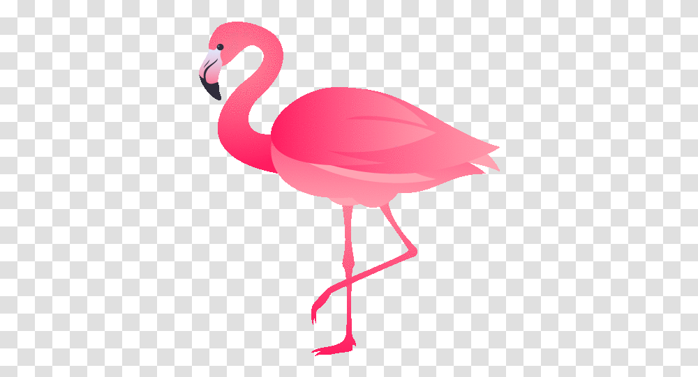 Flamingo Nature Gif Flamingo Nature Joypixels Discover & Share Gifs Flamingo Emojisi, Lamp, Bird, Animal Transparent Png