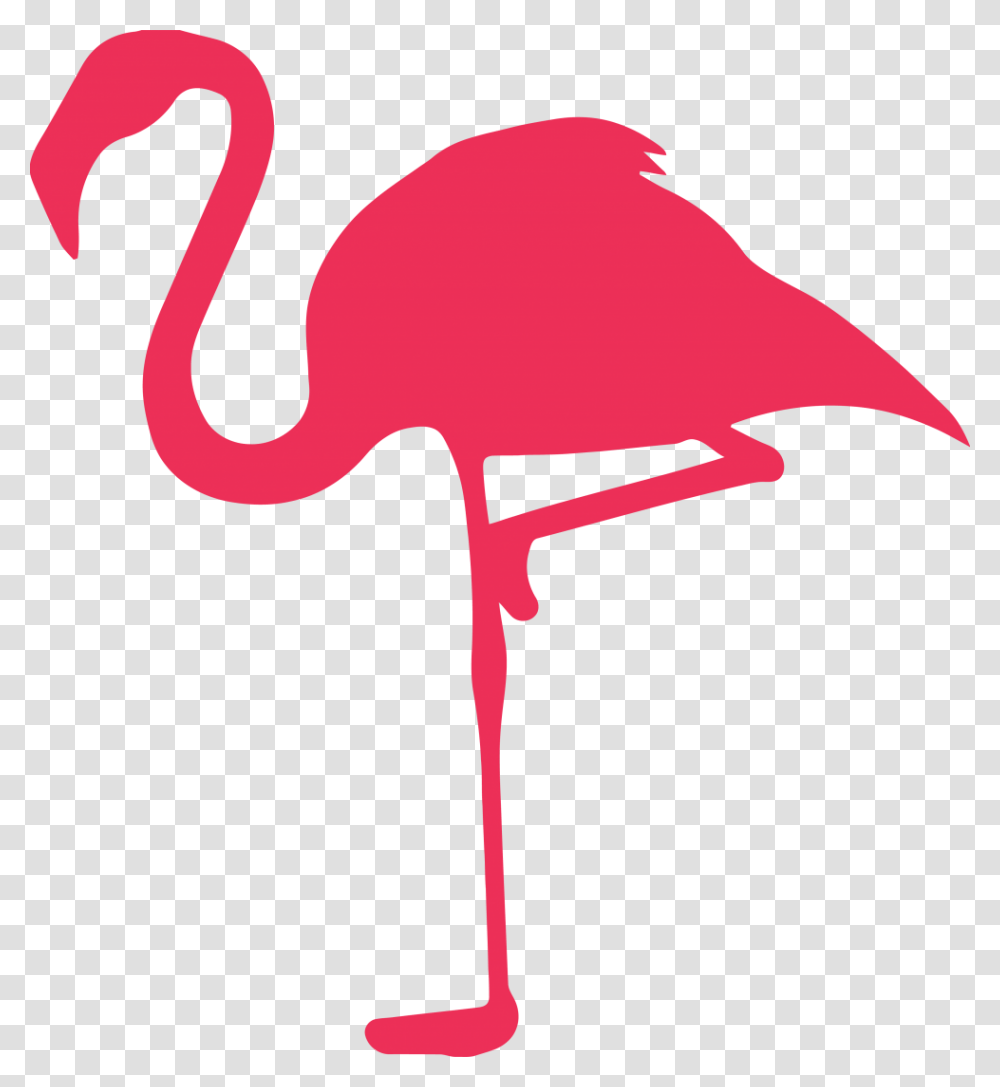 Flamingo On Black, Bird, Animal, Axe, Tool Transparent Png