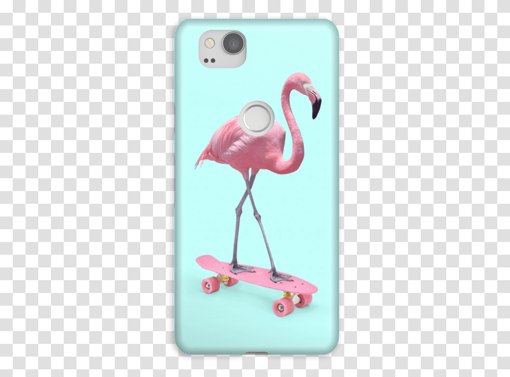 Flamingo On Skateboard Case Pixel Flamingo Skate, Bird, Animal, Beak Transparent Png